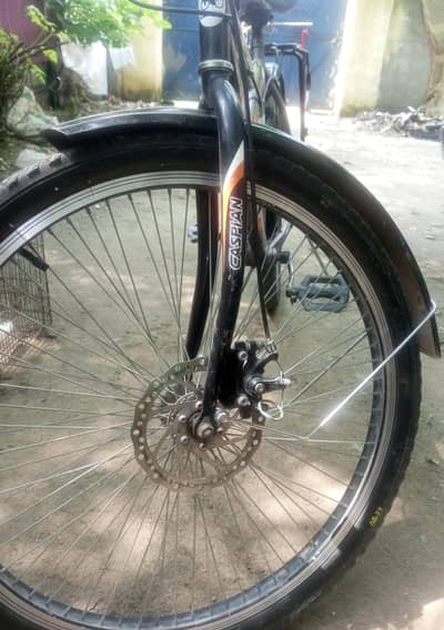 gayrs cycle