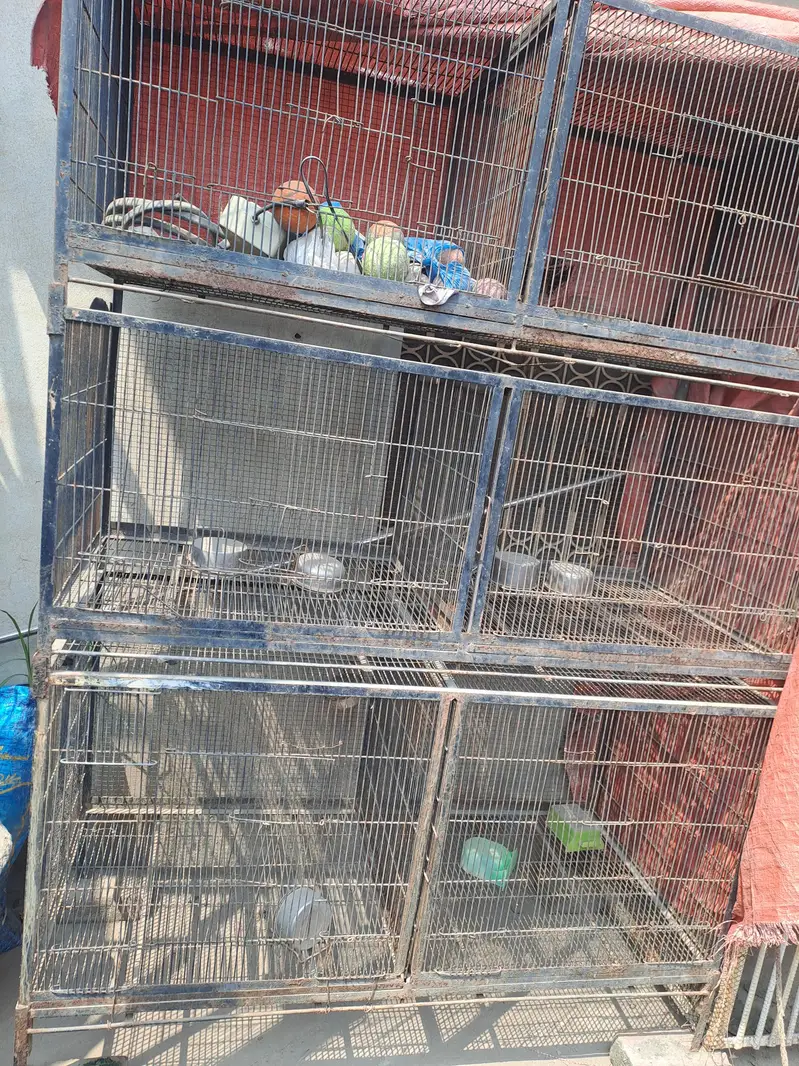 Birds Cage — photo 4