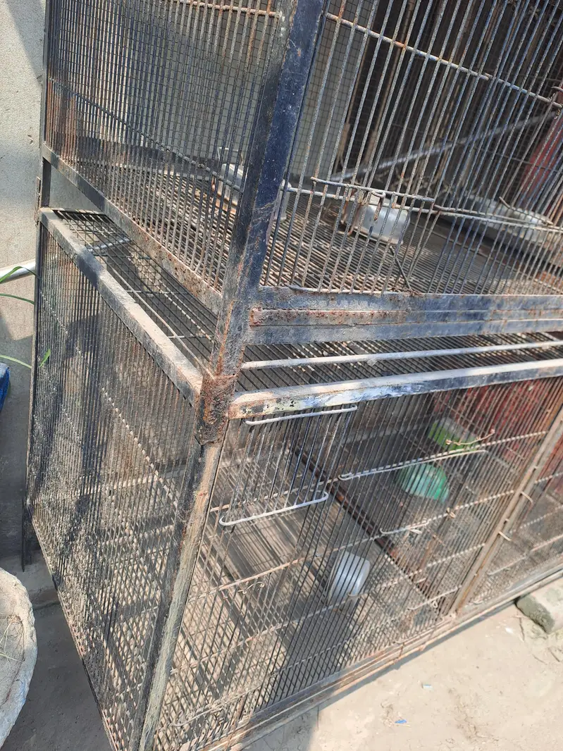 Birds Cage — photo 9