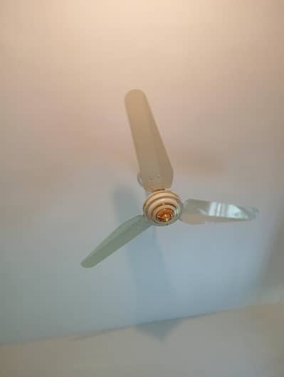 super Asia celling fans