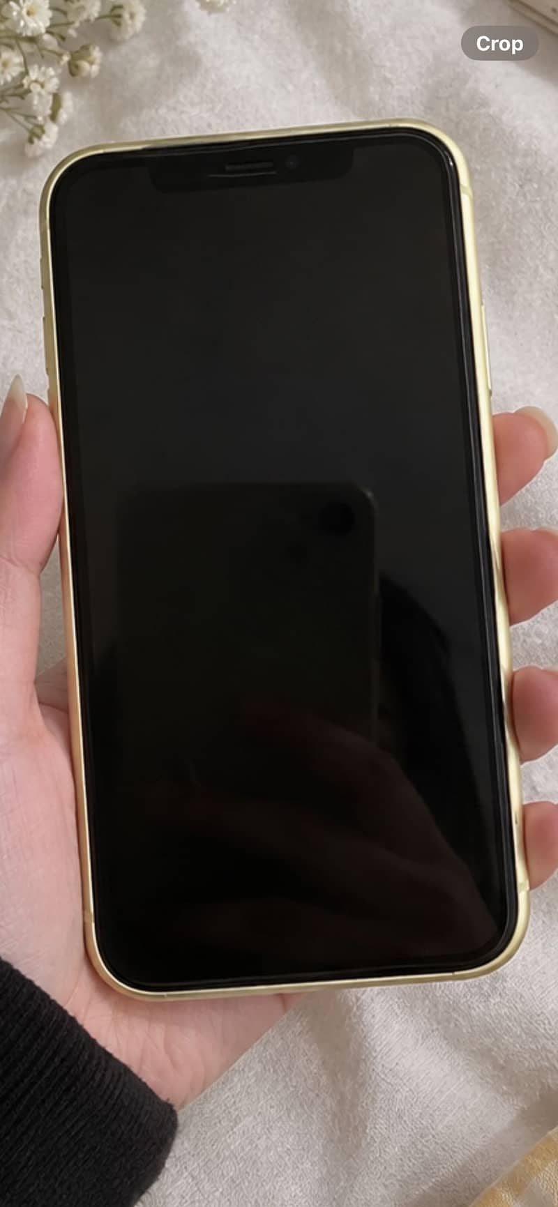 Apple iPhone 11 1
