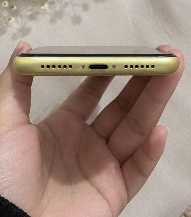 Apple iPhone 11 3