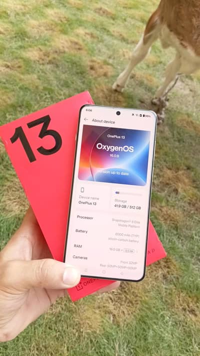 One Plus 13.512 Global Exchange possible