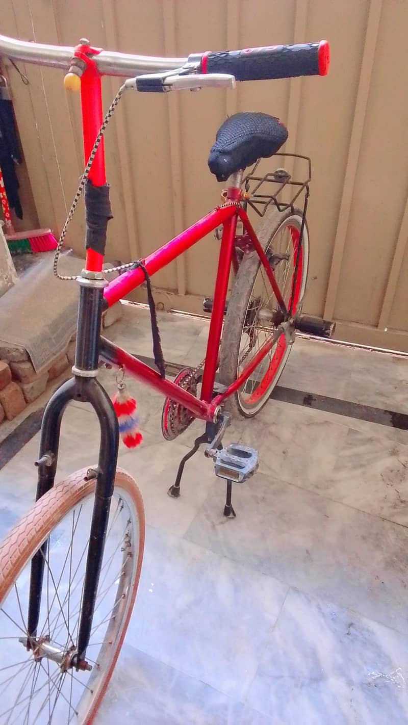 Bicycle Phoenix 1