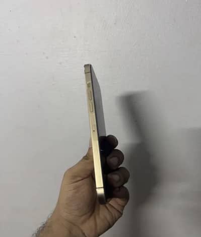 Apple iPhone 13 Pro Max jv