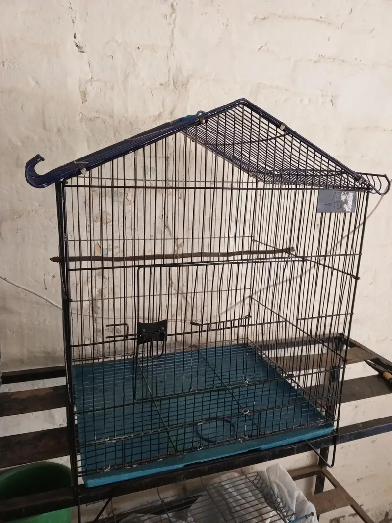 Cage for birds — photo 2