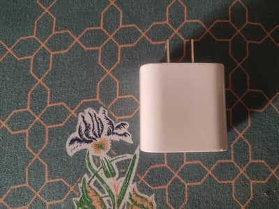Apple iPhone charger
