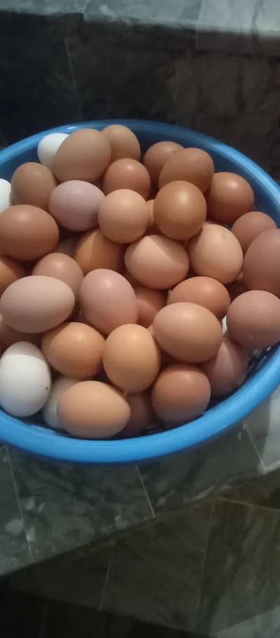 HOME BASED DESI EGGS