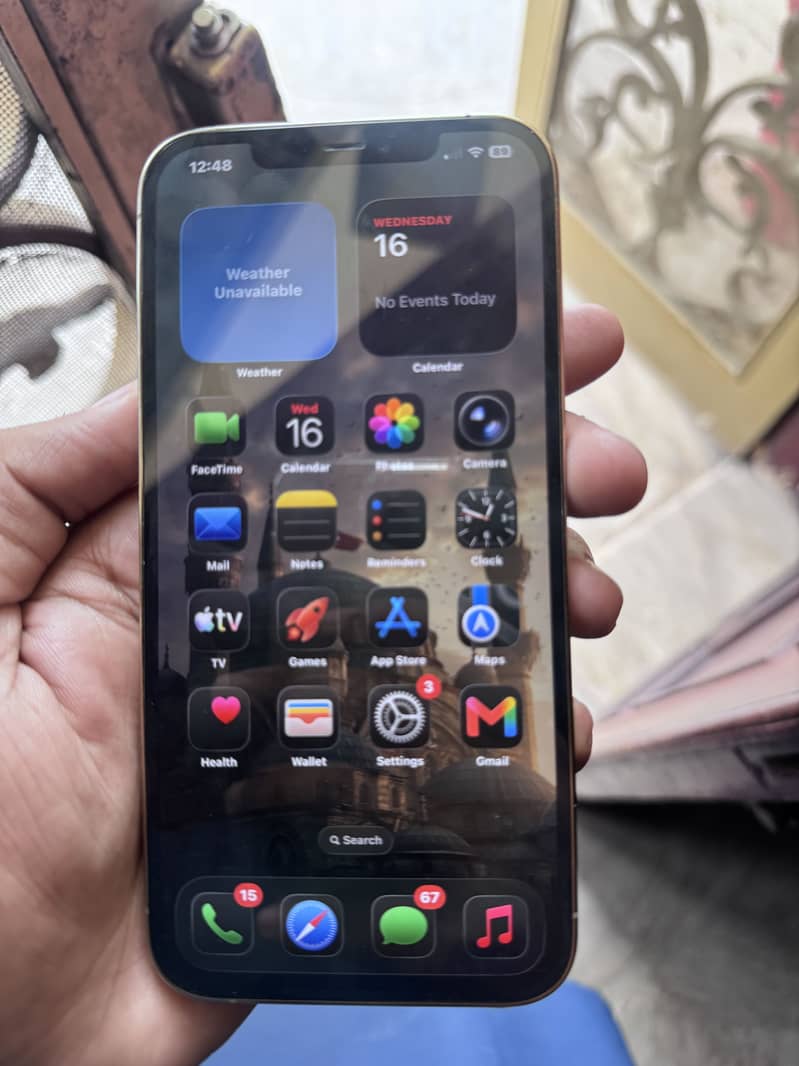 12 pro max 4