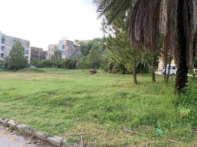 Petrol Pump Plot For Sale In Linear Commercial