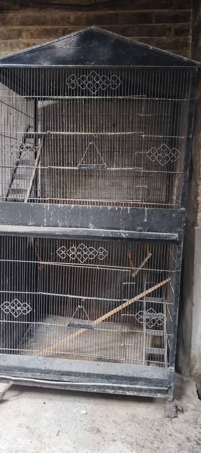 birds Cages