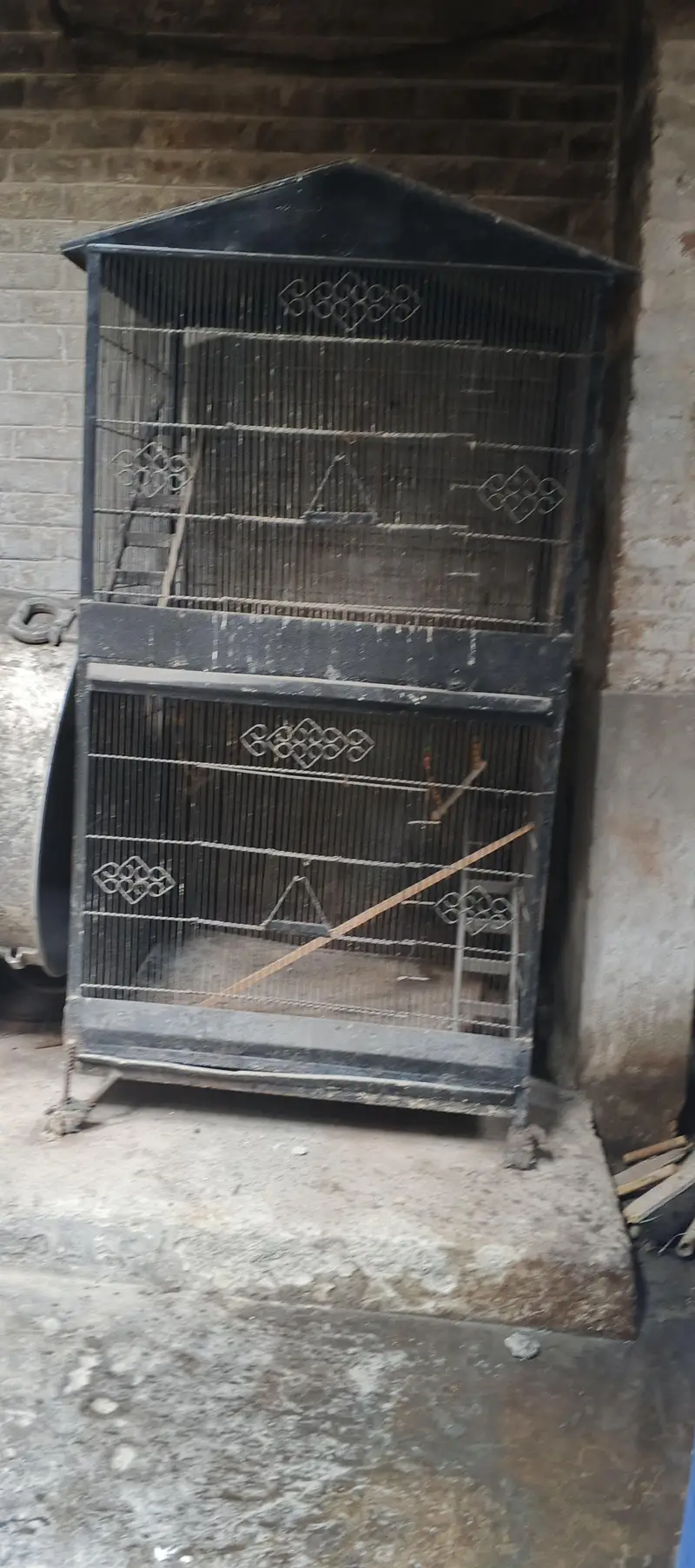 birds Cages — photo 2