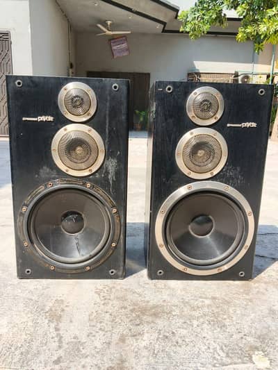 Pioneer Private Speakers