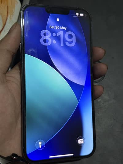 Apple iPhone 13 Pro Max