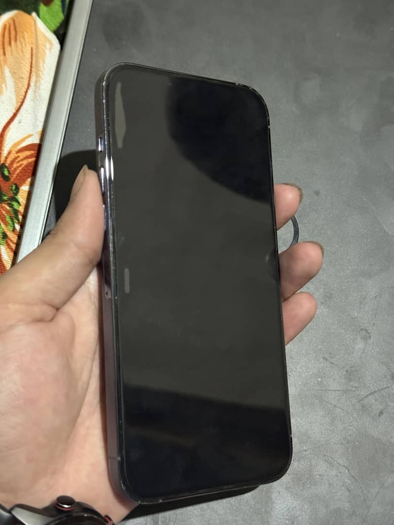 Apple iPhone 13 Pro Max 1