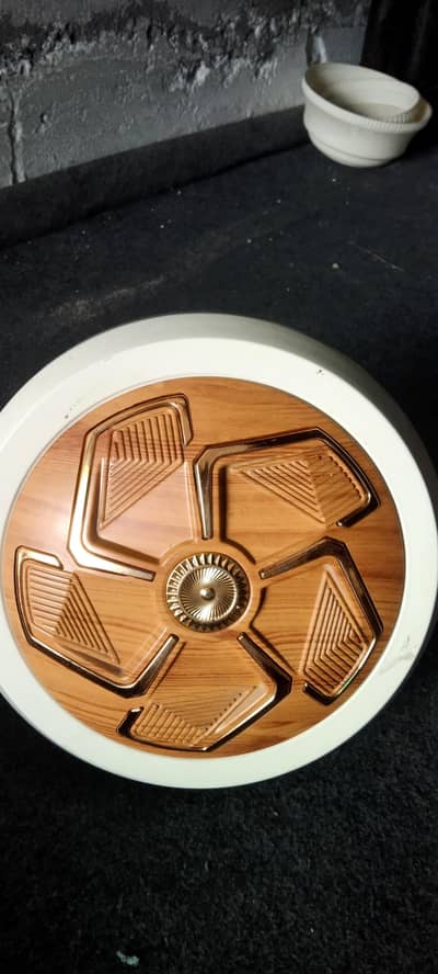2 Ceiling Fans like New in Warranty