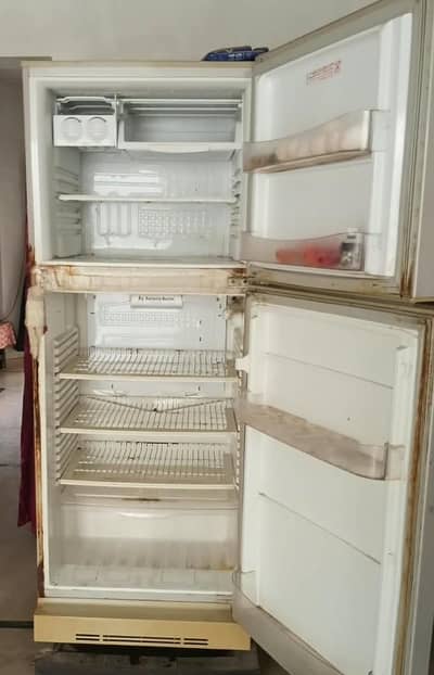PEL fridge large