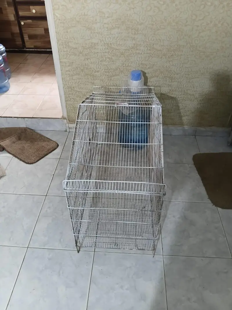 Big Size Hen cage available — photo 3