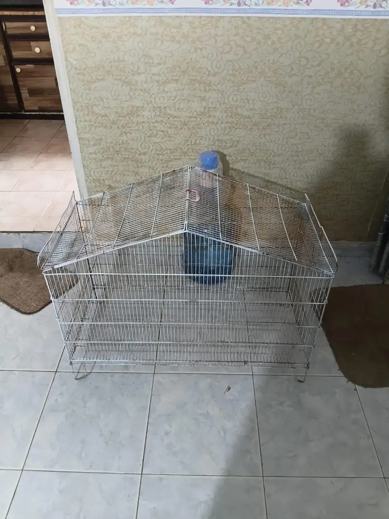 Big Size Hen cage available — photo 4