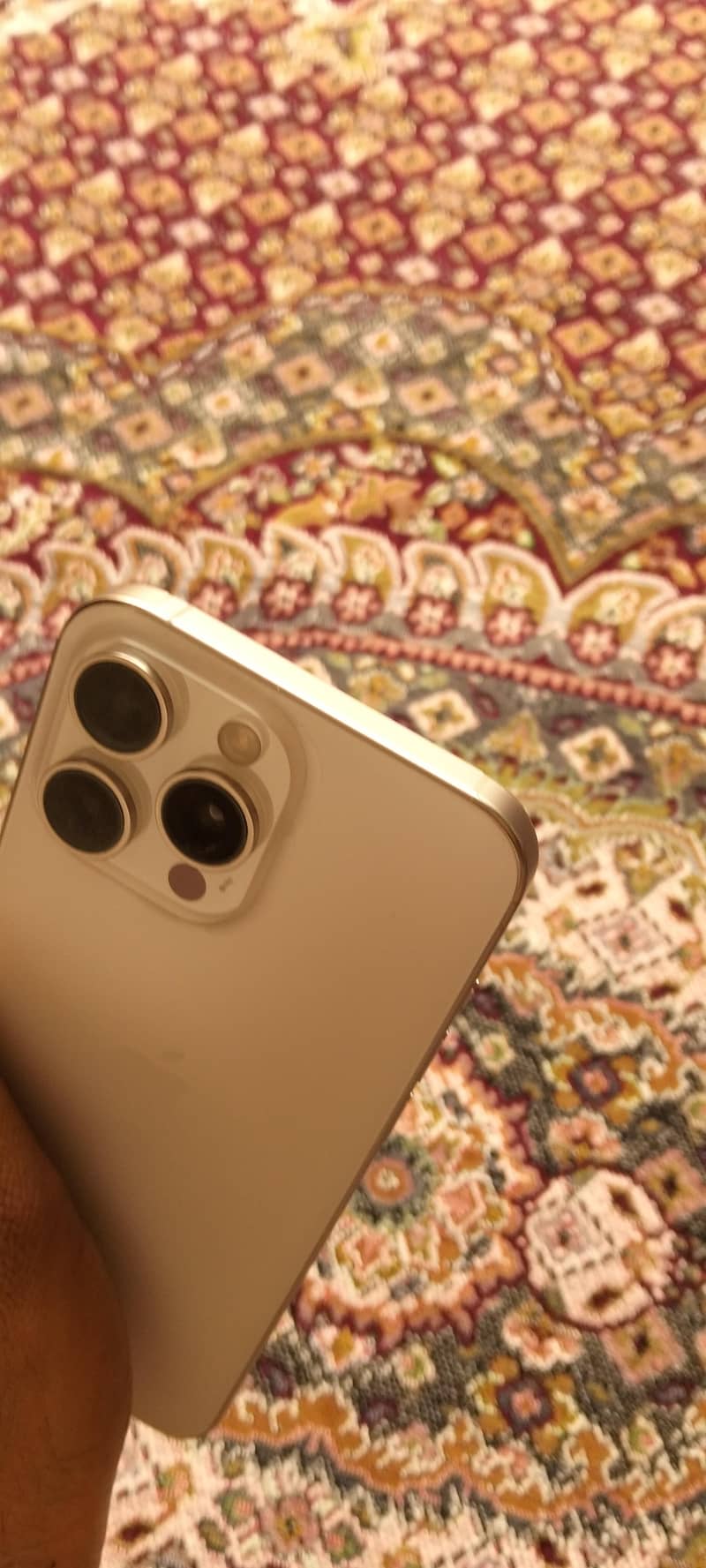 Apple iPhone 15 Pro Max 1