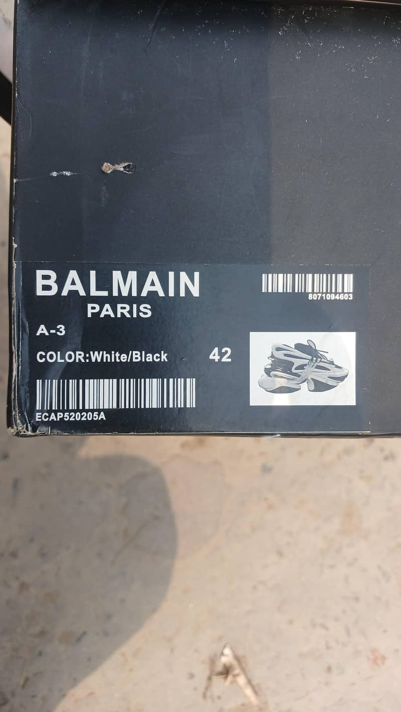BALMAIN 6