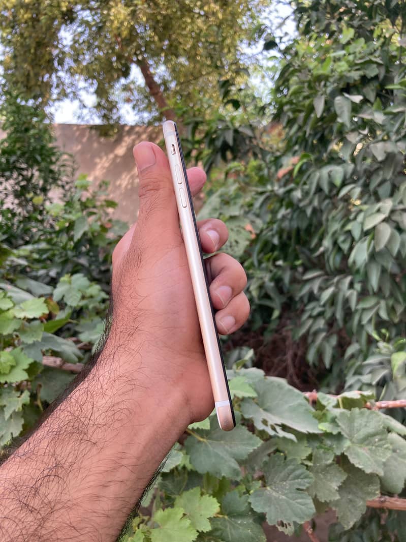 Apple iPhone 7 Plus 3