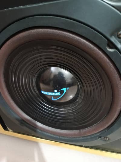 Pair of 8-Inch Speakers – Powerful Bass