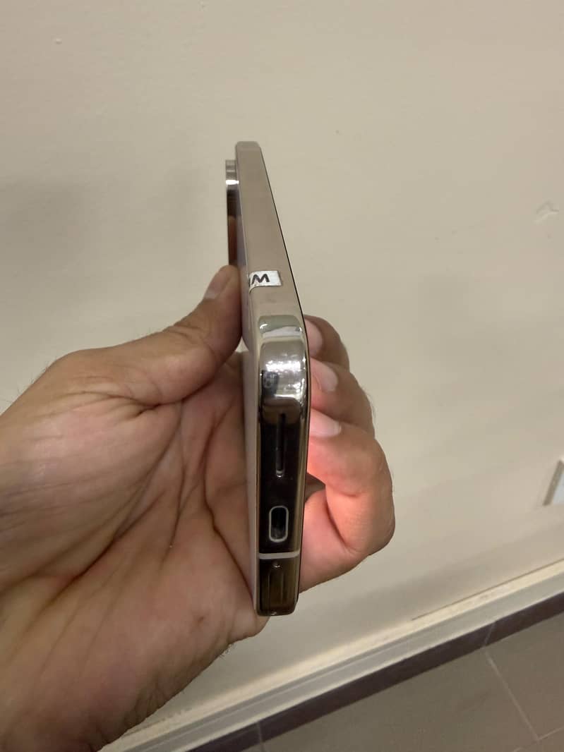Google Pixel 9 Pro 1