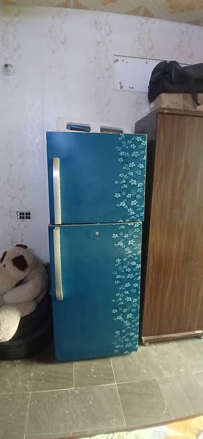 Hair Fridge