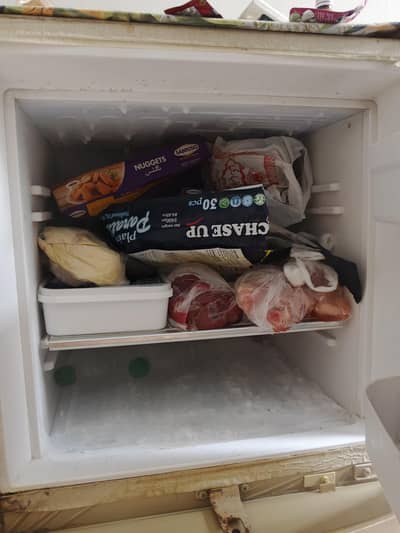 waves fridge argent sale