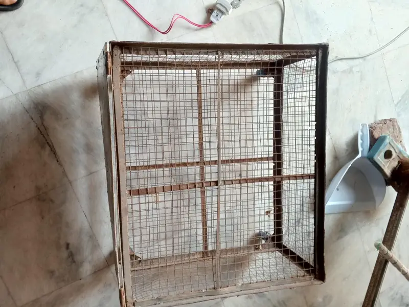 steel cage — photo 2