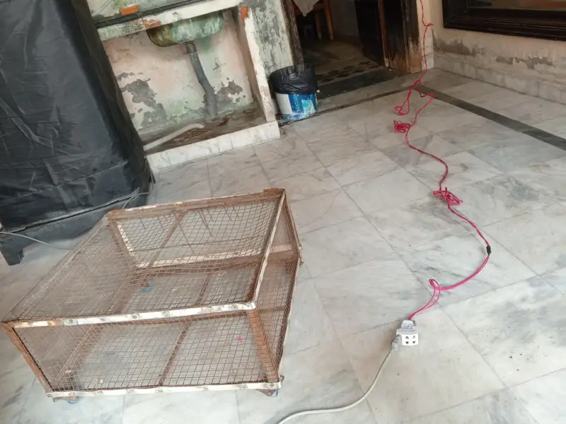 steel cage — photo 4