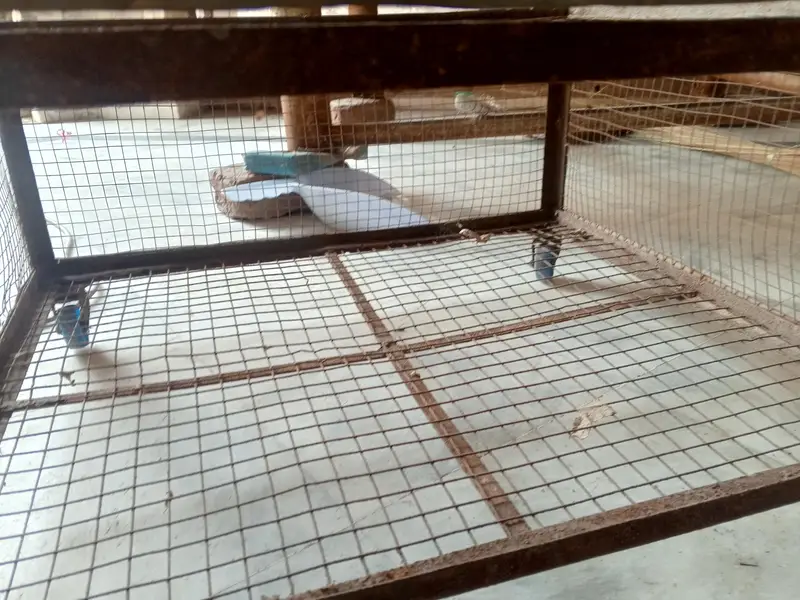 steel cage — photo 5