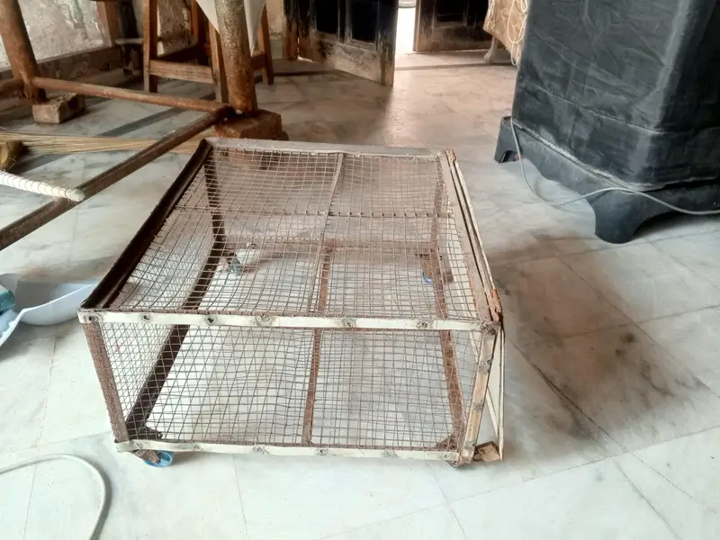 steel cage — photo 6