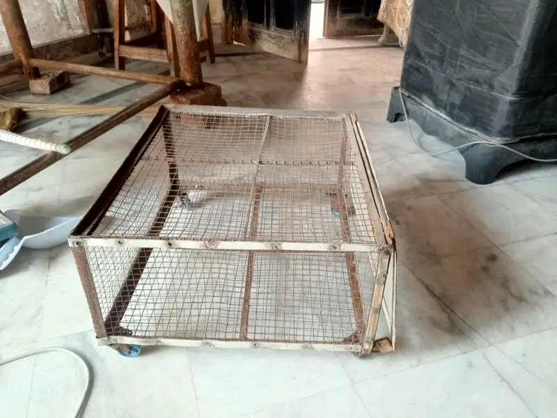 steel cage — photo 7