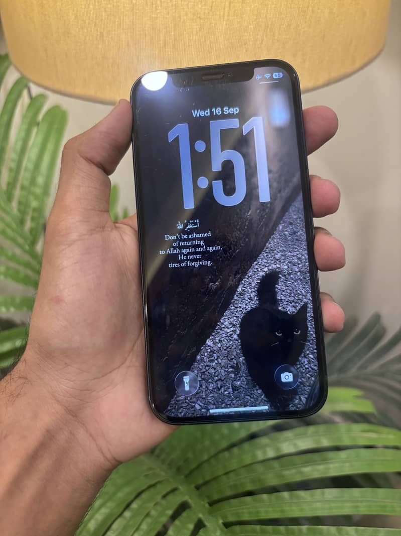 Apple iPhone 12 0