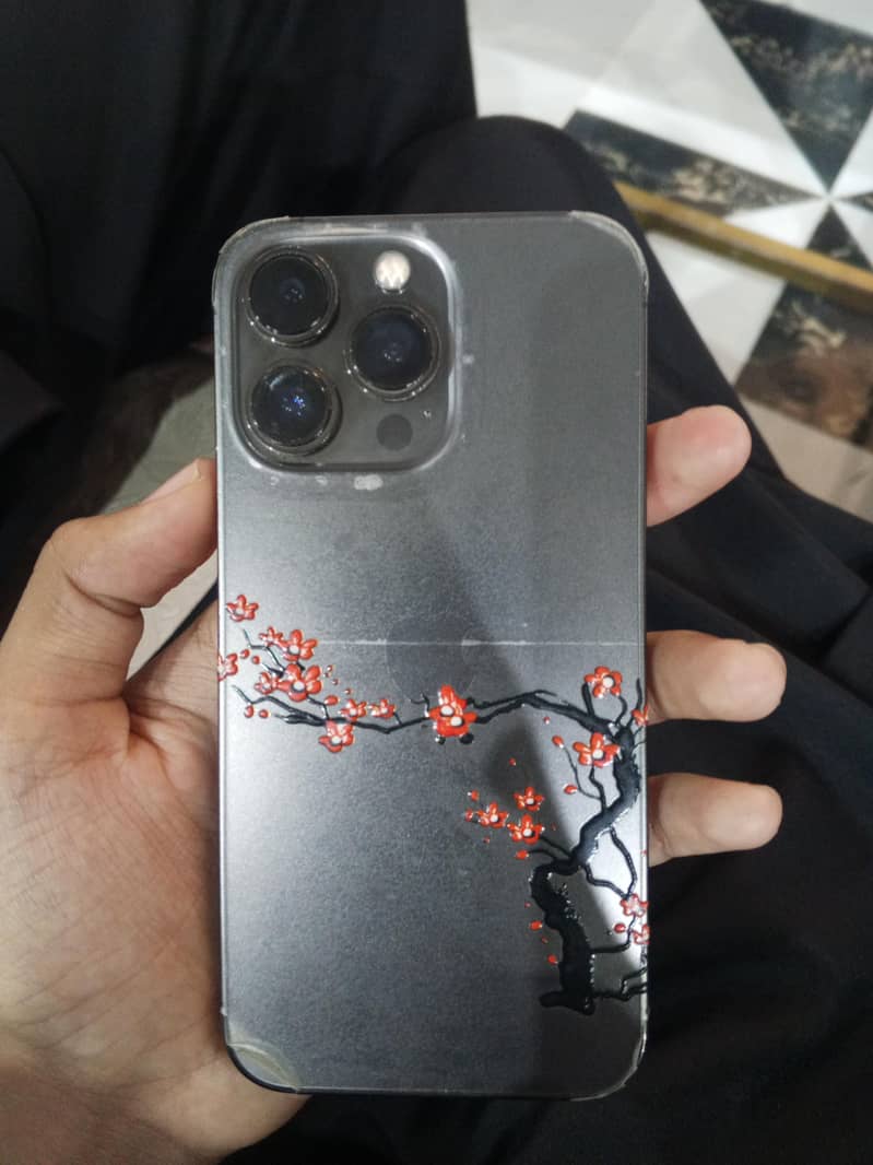 Apple iPhone 13 Pro 1