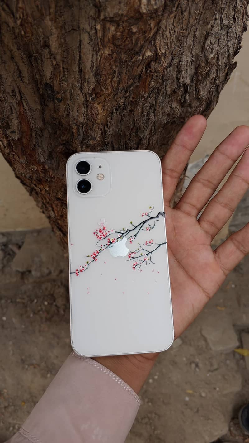 Apple iPhone 12 1