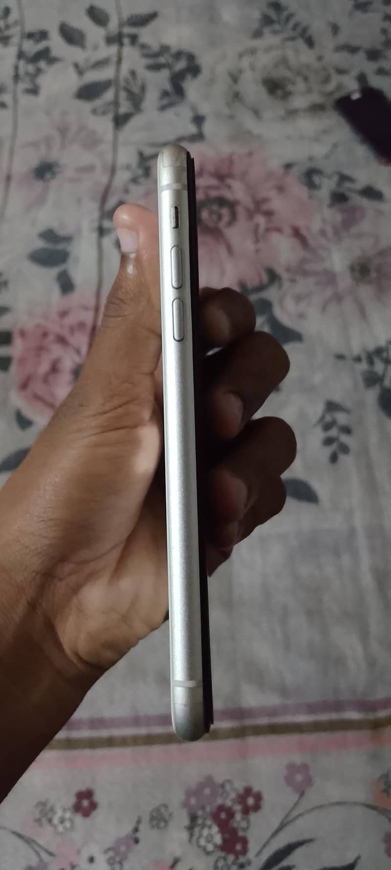 Apple iPhone 11 3