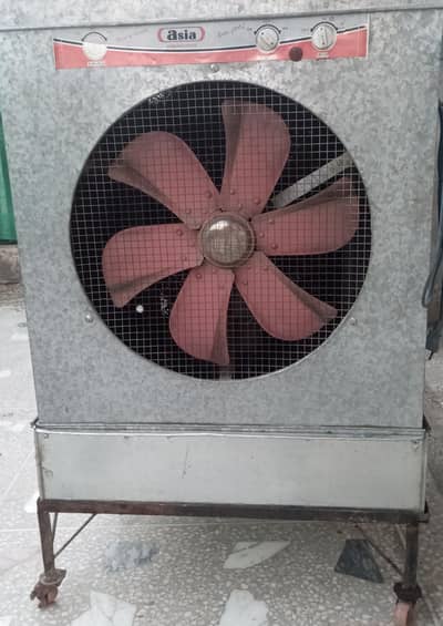 Lahori coleer for sale