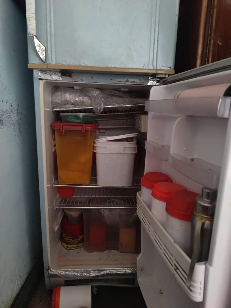 fridge 1