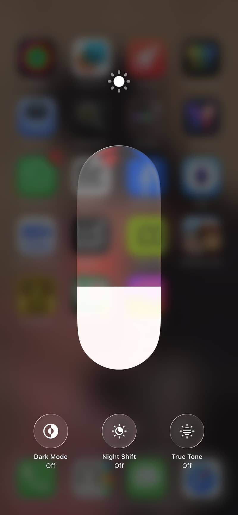 Apple iPhone 11 Pro Max 1