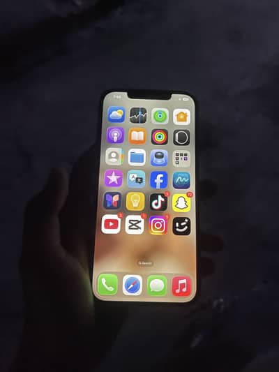 Apple iPhone 12 Pro Max factory unlock