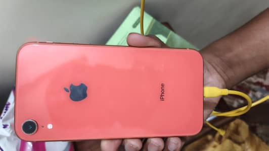 iPhone XR for Sale - 128GB, Coral (Orange) Color