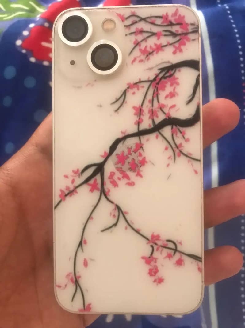 Apple iPhone 13 mini 1