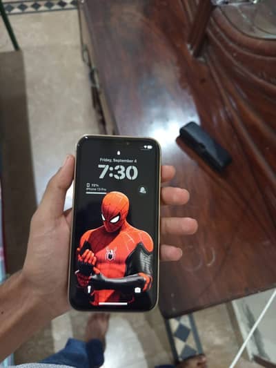 Apple iPhone XR 256 GB