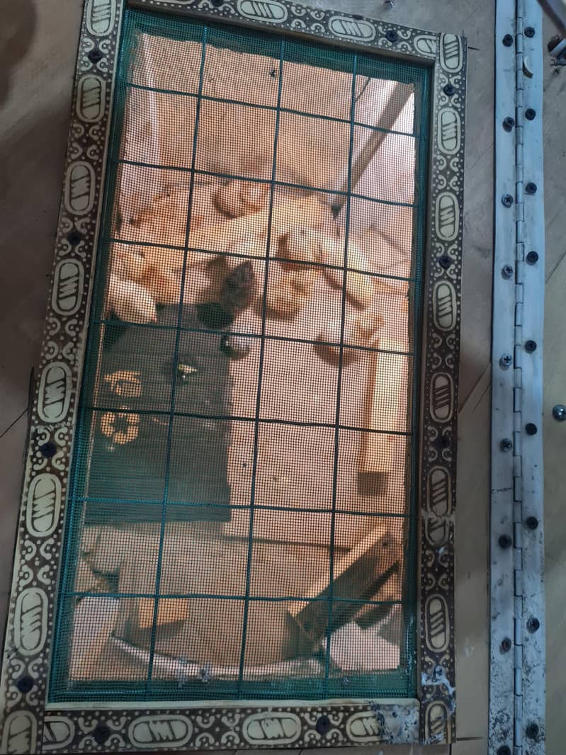 Brooder and incubator 8
