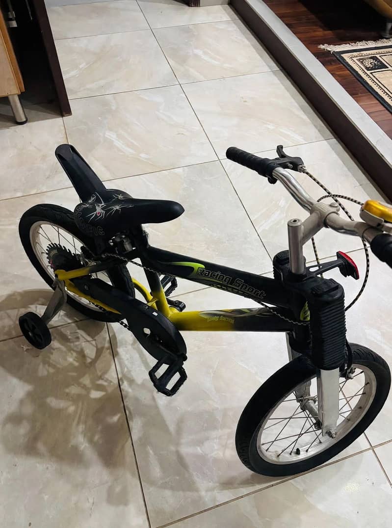 BICYCLE 1