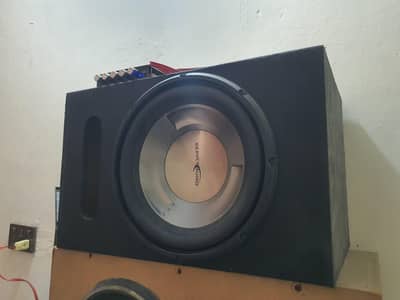 12 inch woofer
