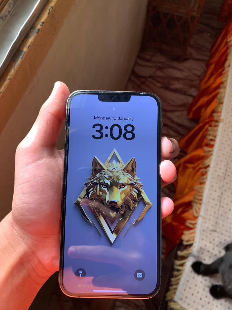Apple iPhone 13 Pro Max 2